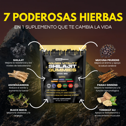 Gomitas de Shilajit